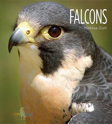 Book cover for Falcons