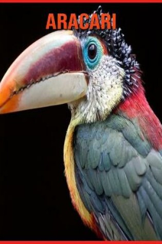 Cover of Aracari