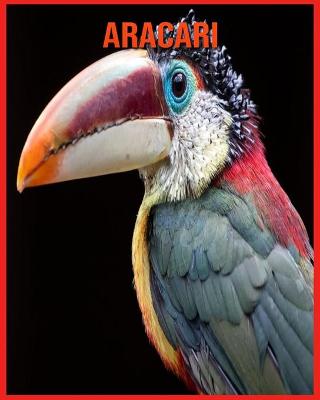 Book cover for Aracari