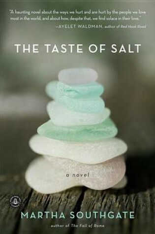Cover of The Taste of Salt