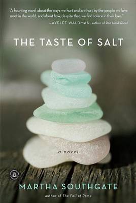 Book cover for The Taste of Salt