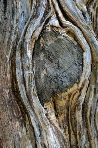 Cover of The Knot in a Tree, for the Love of Nature