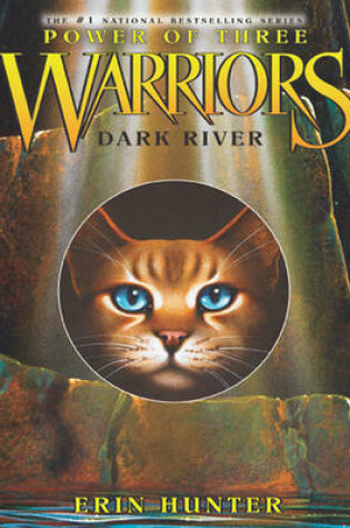 Cover of Warriors: Power of Three #2: Dark River