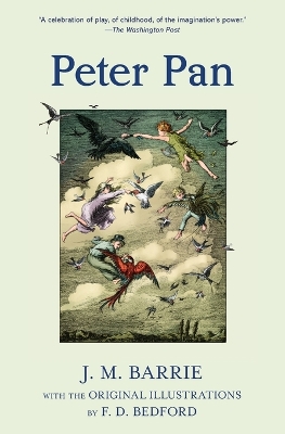 Book cover for Peter Pan (Warbler Classics Illustrated Edition)