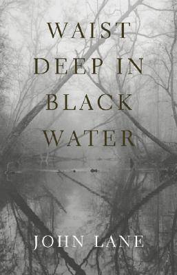Book cover for Waist Deep in Black Water