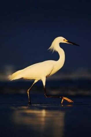 Cover of Snowy Egret on the Coast Journal (Egretta Thula)