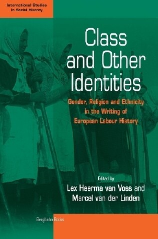 Cover of Class and Other Identities