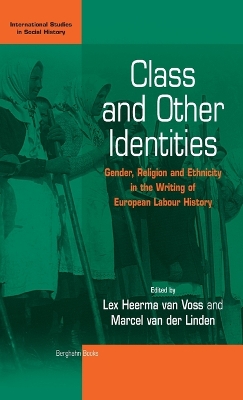 Cover of Class and Other Identities