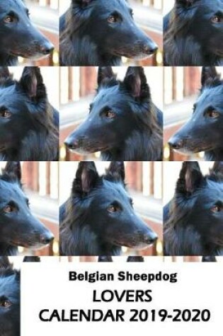 Cover of Belgian Sheepdog Lovers Calendar 2019-2020