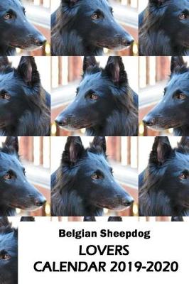 Book cover for Belgian Sheepdog Lovers Calendar 2019-2020