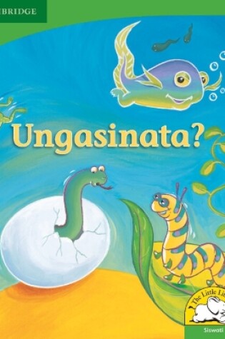 Cover of Ungasinata? (Siswati)