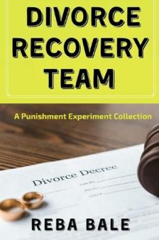 Cover of Divorce Recovery Team