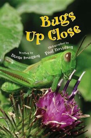 Cover of Bugs Up Close