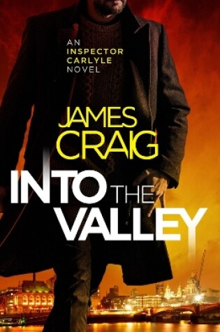 Cover of Into the Valley