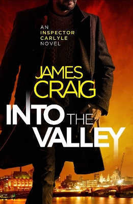 Book cover for Into the Valley