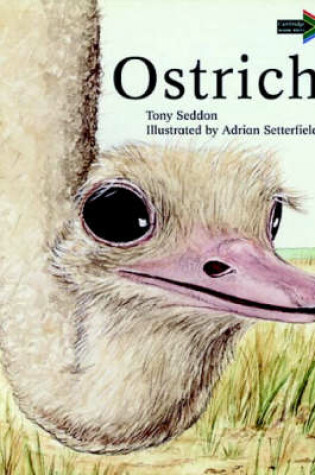 Cover of Ostrich South African edition