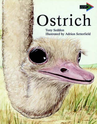 Book cover for Ostrich South African edition