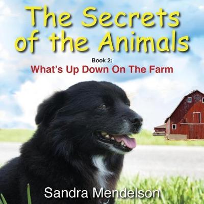 Cover of The Secrets of the Animals: Book 2