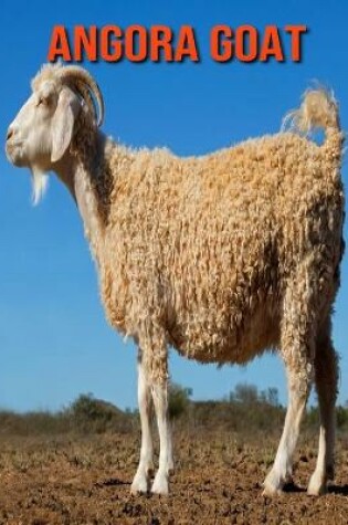 Cover of Angora Goat