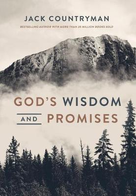 Book cover for God's Wisdom and Promises