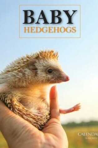 Cover of Baby Hedgehogs Calendar 2020