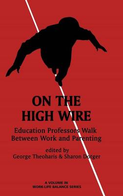 Book cover for On the High Wire