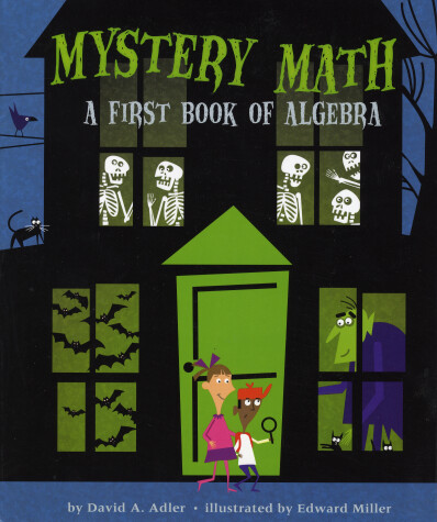 Book cover for Mystery Math