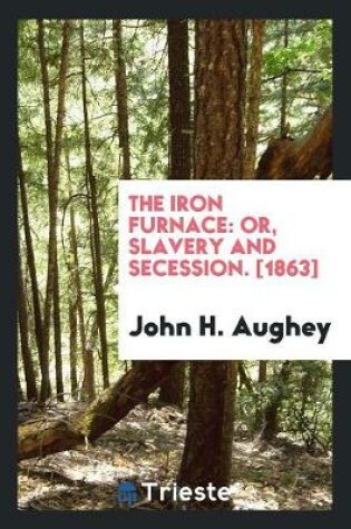 Cover of The Iron Furnace