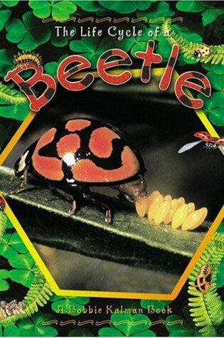 Cover of The Life Cycle of the Beetle