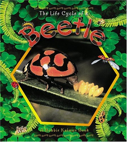 Cover of The Life Cycle of the Beetle