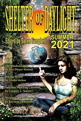 Cover of Shelter of Daylight Summer 2021