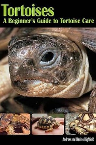 Cover of Tortoises