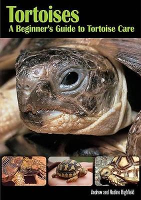 Book cover for Tortoises