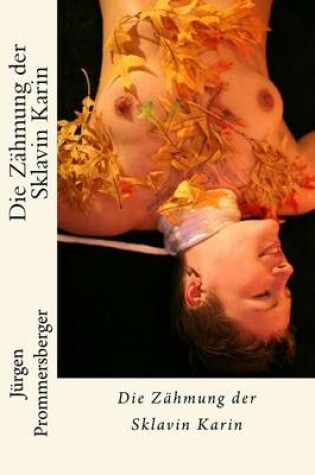 Cover of Die Zahmung der Sklavin Karin