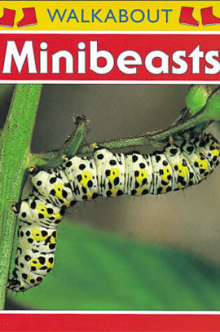 Cover of Minibeasts