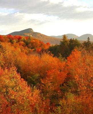 Book cover for Fall School Composition Book Beautiful Mountain Scene 130 Pages