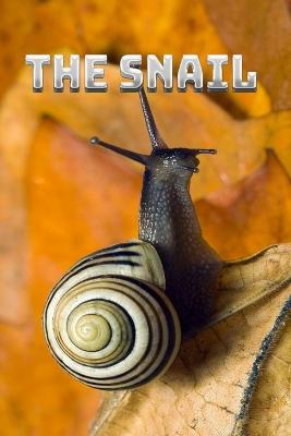 Book cover for The Snail