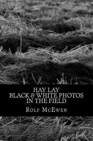 Cover of Hay Lay - Black & White Photos in the Field