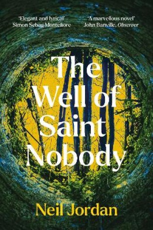 Cover of The Well of Saint Nobody