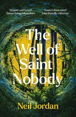 Book cover for The Well of Saint Nobody