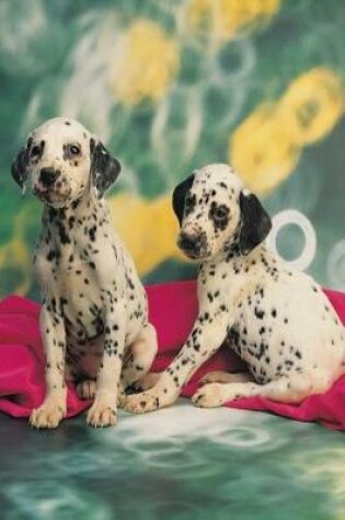 Cover of Dalmatian Puppies Dog Photo Journal