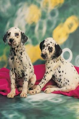 Book cover for Dalmatian Puppies Dog Photo Journal