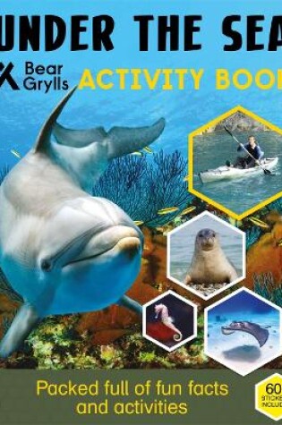 Cover of Bear Grylls Sticker Activity: Under the Sea