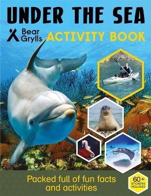 Book cover for Bear Grylls Sticker Activity: Under the Sea