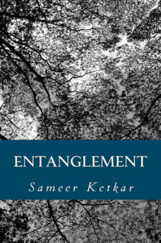 Cover of Entanglement