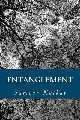 Book cover for Entanglement