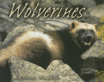 Book cover for Wolverines