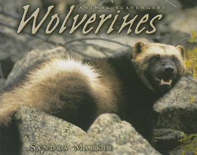 Cover of Wolverines