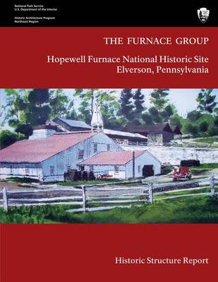 Book cover for The Furnace Group