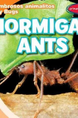 Cover of Hormigas / Ants